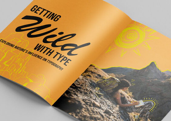 Portfolio_Thumbnail_BellaFeature